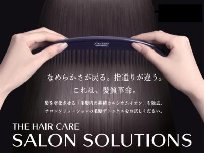 リンコ様サロンソリューションデータ集
